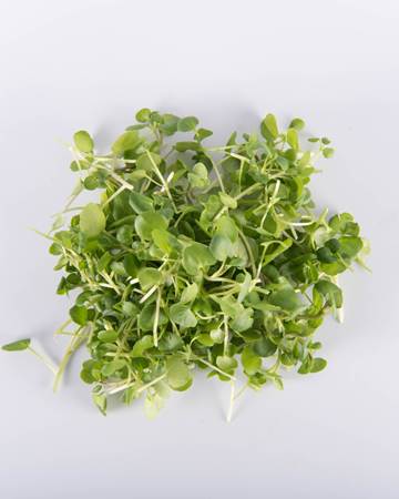 watercress-for-acne